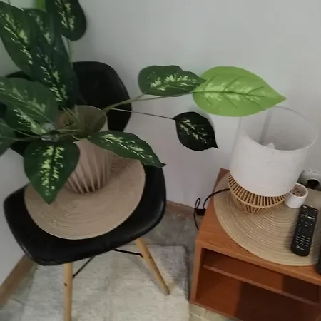 Stefan * Врнячка-Баня