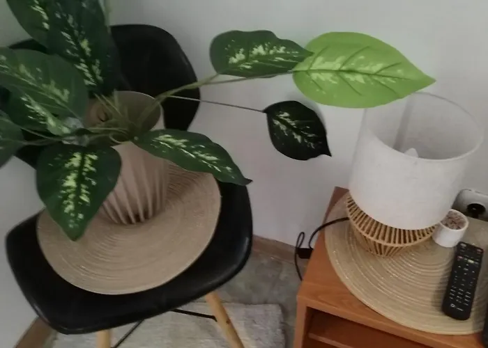 Stefan * Vrnjačka Banja